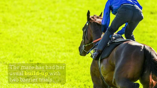 EXPLAINER: Winx lines up to break Black Caviar's record