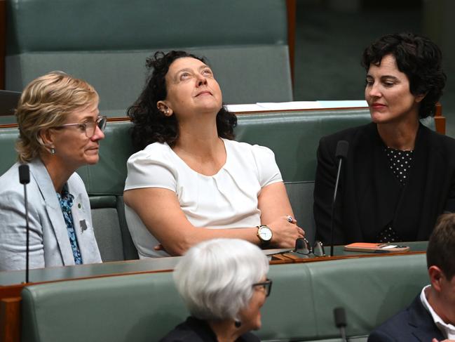 Teal independent Monique Ryan is having a shocker of a campaign. Picture: AAP