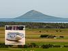 Aussie island infested with mutant snakes