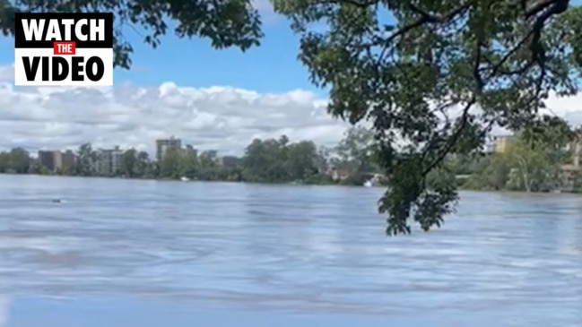 The Brisbane River in flood, from Kaye's Rocks at Toowong