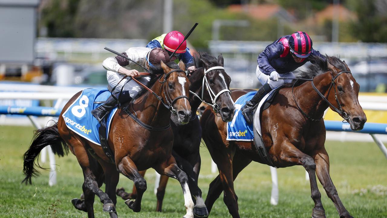 NCA. MELBOURNE, AUSTRALIA. October 19 , 2024. HORSE RACING. Caulfield Cup Day races at Caulfield Racecourse, Melbourne. Race 3. The Sportsbet Classic . Kingofwallstreet (8) ridden by Michael Dee charges down the outside to pip China Sea on the line . Pic : Michael Klein