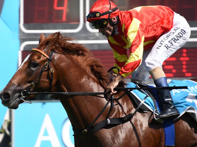 Winner of Race 4 Wisdom Of Water ridden by Robbie Fradd at the Gold Coast Turf Club. (Photo/Steve Holland)