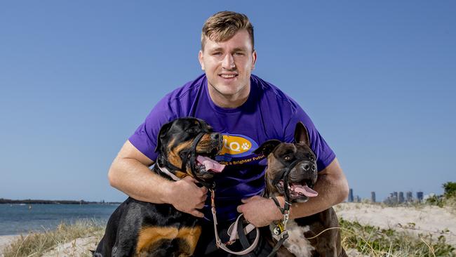 Titans player Jai Arrow with his dogs Koda and Thor. Picture: Jerad Williams