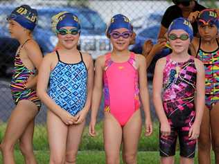 DIVING IN: The Dalby Dolphins open swim meet is on this Sunday, November 2. Picture: Dalby Dolphins