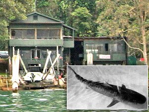 The property has links to the Shark Arm Murder case of the 1930s.