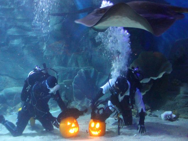 Sea Life will be hosting Halloween festivities. Picture: Supplied