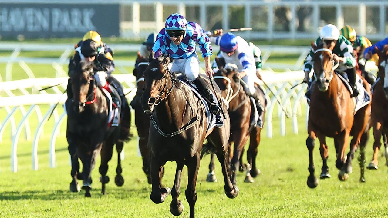 Pride Of Jenni is in “super order” for the King Charles III Stakes. Picture: Jeremy Ng/Getty Images