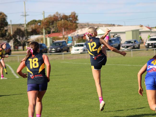 SFLW Community League - Sorell's Heidi Johnson boots the ball inside 50 during the match against St Virgils during the annual Pink Sock-Carolyn Birch Memorial Match. Picture: Jake Garland