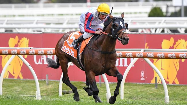 Damien Oliver is chasing his fourth Melbourne Cup win aboard Delphi. Picture: Getty Images