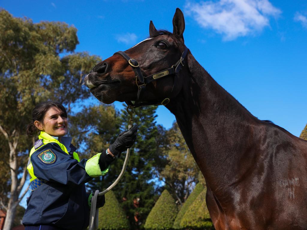 Sergeant Melinda Duncan with mounted police horse ‘Tobruk’, who is alleged to have been the victim of animal cruelty at Sydney’s anti-lockdown rally. Picture: Justin Lloyd.
