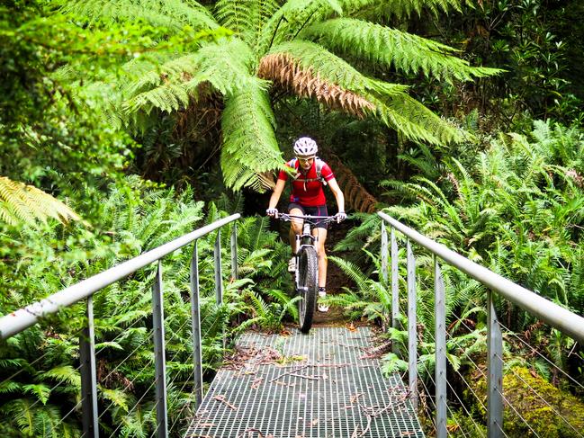 The Tahune Airwalk is also a great spot to explore the natural beauty of our state.