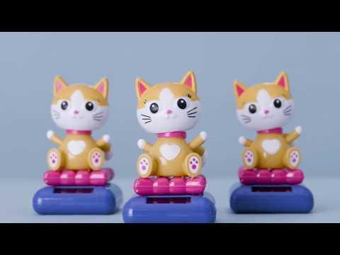 RSPCA Records Song For Nervous Shelter Cats. Credit — RSPCA NSW via Storyful
