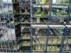 Office vacancies hit 24-year high