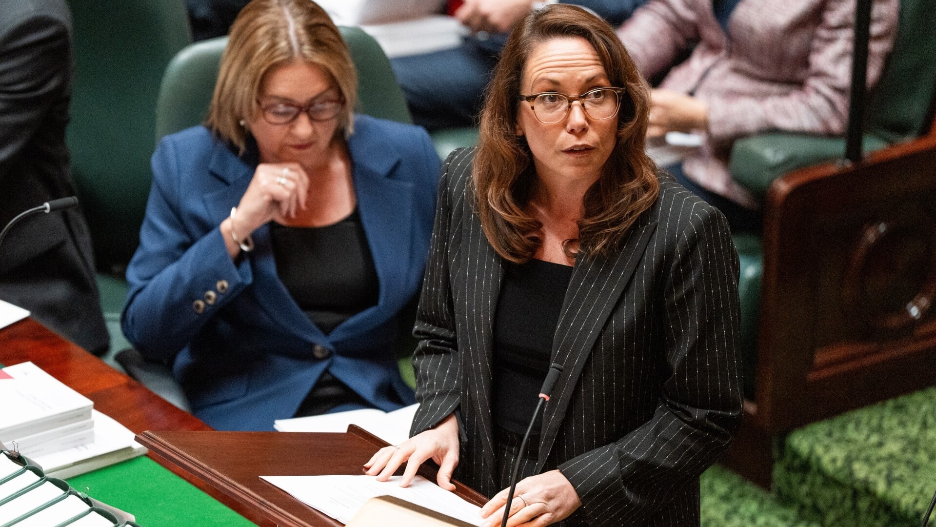 Victorian Treasurer hands down 2025 state budget