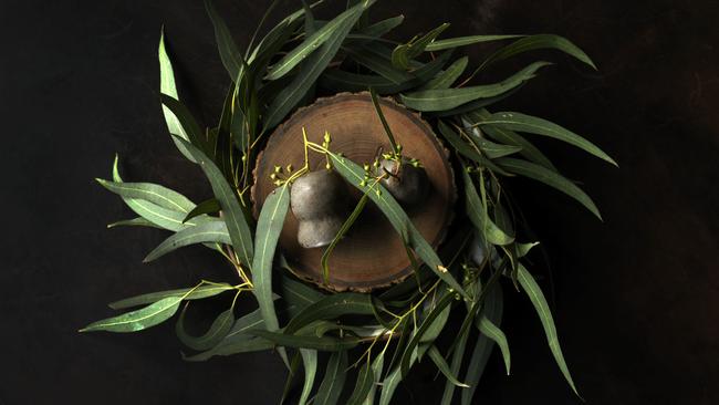 Wattleseed chocolates from Vue de Monde.