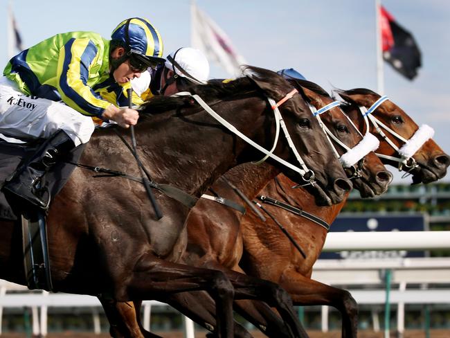 Lidari (centre) returned an illegal cobalt reading after finishing behind Lucia Valentina (left) in last year’s Turnbull Stakes. Picture: Colleen Petch