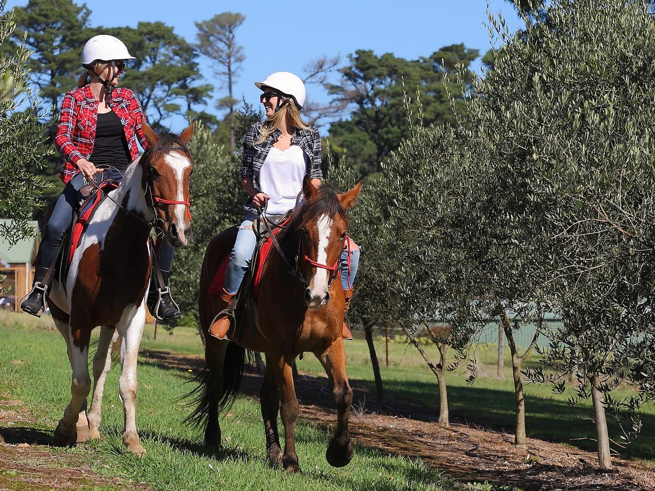 horse riding wine tour mornington peninsula