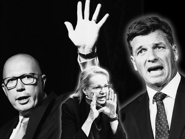 Dark days: Peter Dutton's resounding defeat on Saturday has Liberal Party donors questioning their commitment, as leadership contenders like Sussan Ley and Angus Taylor prepare for a partyroom meeting on its future.