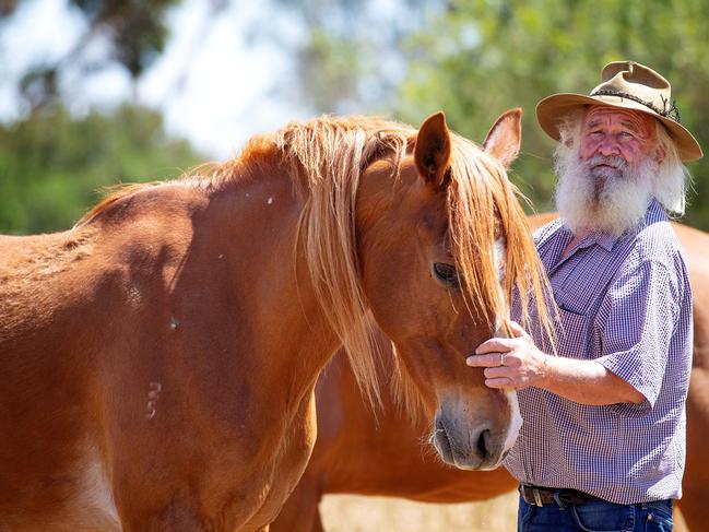 Barmah cattleman Mick Caldwell with “Bushy”, the horse he bred from the Barmah brumby mare he caught and tamed. Picture: Mark Stewart