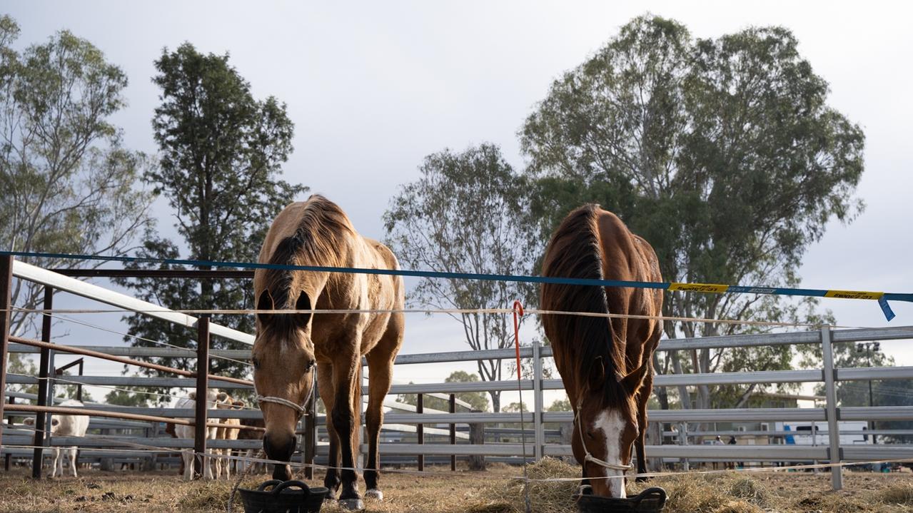 The Sunday horse events of the Kilkivan Great Horse Ride. Sunday, July 2, 2023. Picture: Christine Schindler