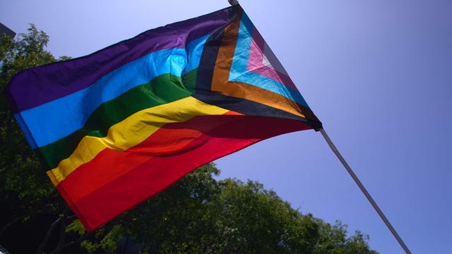 The Victorian Pride Lobby’s ‘Rainbow Local Government’ campaign seeks to install the committees across the state. Picture: Allison Dinner