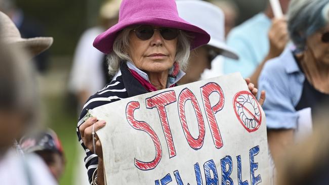 The National Rally Against Reckless Renewables at Parliament House in Canberra. Picture: NCA NewsWire / Martin Ollman