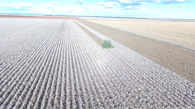 Proterra Investment Partners are selling their 23,594ha One Tree Agriculture portfolio on the NSW-Qld border.