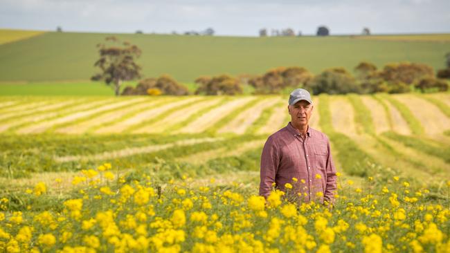 Adrian McCabe, a director at Grain Producers SA, with a canola crop at Alma, SA. He wants the moratorium lifted on genetically modified crops in the state.