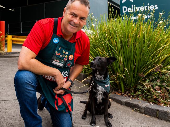 Bunnings managing director Mike Schneider and his dog Henry.