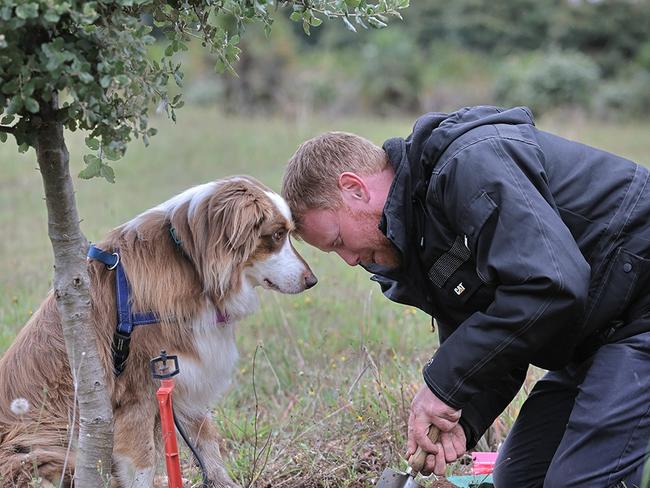 Gembrook Truffles in the Dandenongs, Victoria.