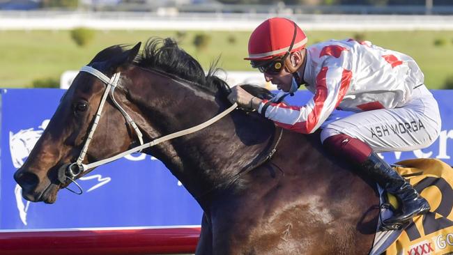 Ashley Morgan (pictured) partners Stormy Pluck for trainer Tim McIntosh.