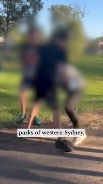 Sydney teens brawl in brutal 'fight club' streamed online