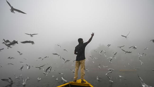 A man feeds seagulls in the waters of river Yamuna engulfed in smog in New Delhi. Picture: Arun Sankar/AFP