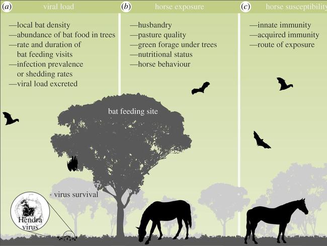 Plowright, R.K. et al., 2015. Ecological dynamics of emerging bat virus spillover. Proceedings B., 282. Supplied by James Cook University.