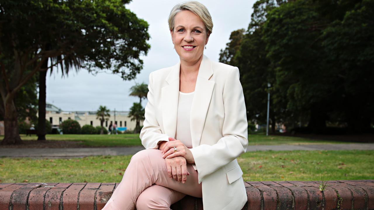 Tanya Plibersek Outlines Labor Vision Amid Leadership Talk | News.com ...