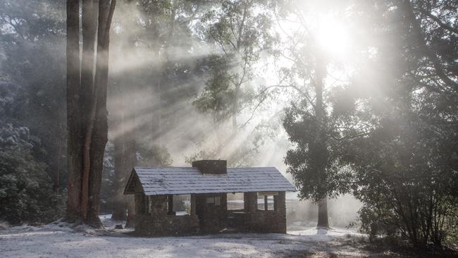 Snow at Mt Field National Park on August 3rd 2015. Hobart Snow DVG Mt Field National Park. Pic supplied by Rachel Power