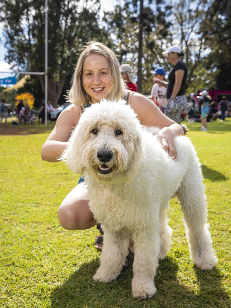 The Groodle (Golden Retriever crossed with Poodle) has been named as the fifth most popular breed. The cross combines brains, a gentle nature, and low-shedding fur, which explains its climb into the top five. Picture: Kevin Farmer