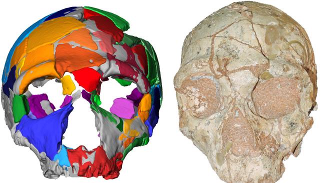 A reconstruction and computer model of part of a skull named Apidima 2, discovered in a Greek cave, which was determined in a study to have the characteristics of Neanderthal man.