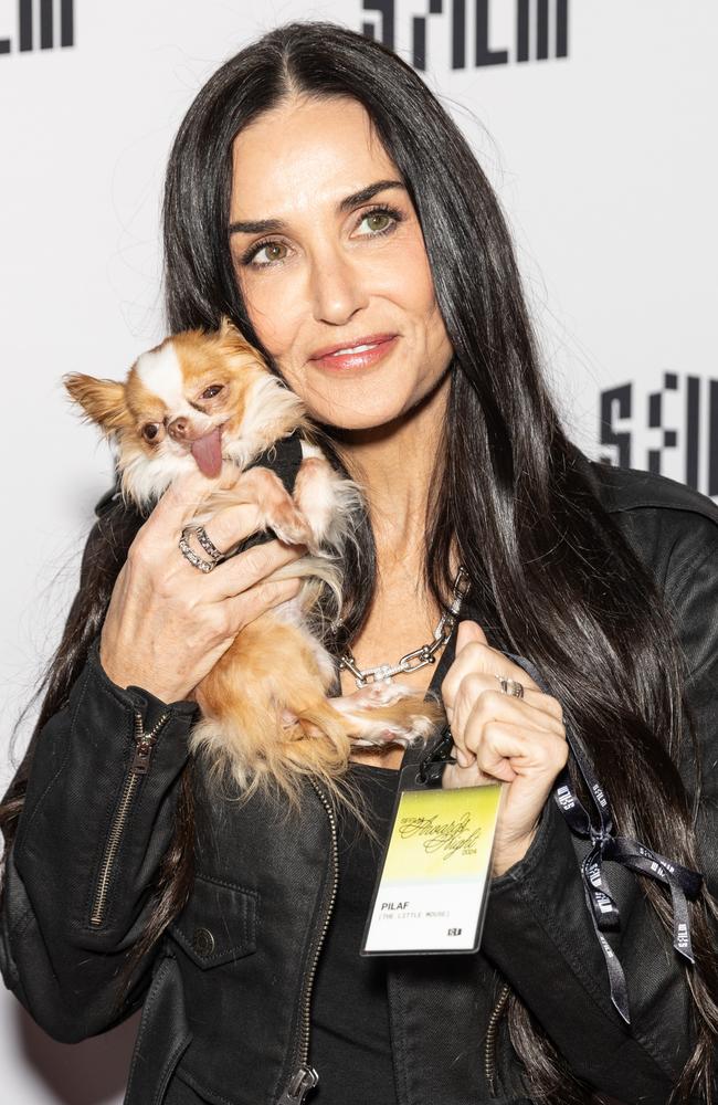 Demi Moore took a very special guest to the San Francisco Film Awards - her super cute dog Pilaf. Picture: Miikka Skaffari/WireImage/Getty Images