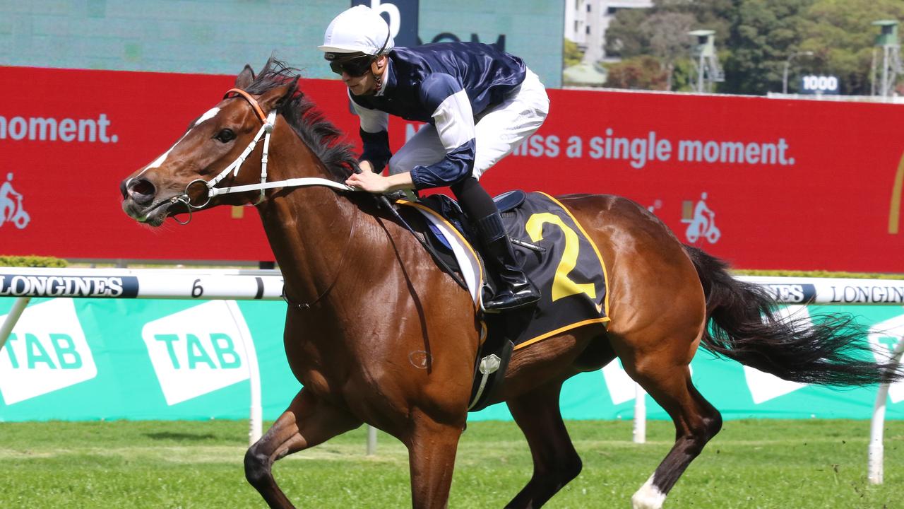 Hosier can land a second Cup with when he resumes at Muswellbrook on Friday. Picture: Grant Guy