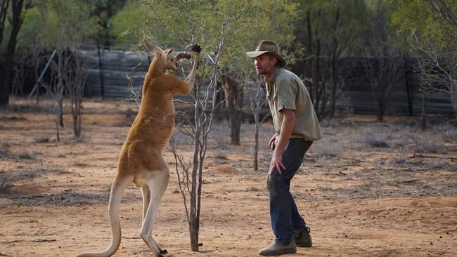 A scene from Kangaroo: A Love-Hate Story