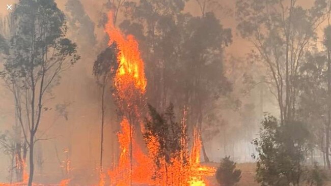 Three homes have been destroyed in the Mount Maria and Lowmead bushfires.