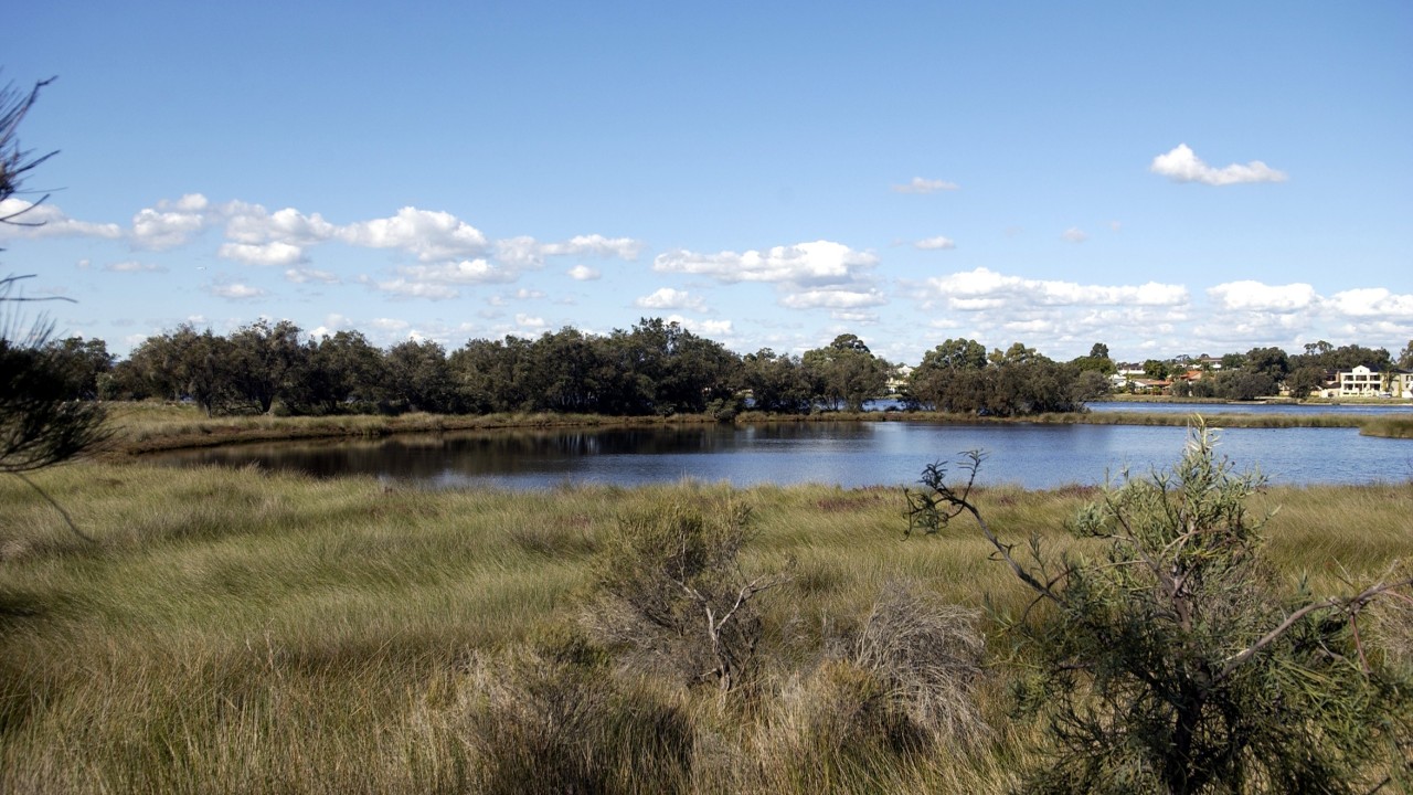 WA Mayor ‘alarmed’ after critical tree planting events are cancelled by ...