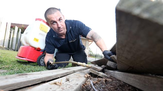 Michael Azzopardi from Gold Coast Pest Management Solutions is preparing for a bumper redback season. Picture: Richard Gosling