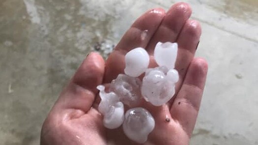 Hail in Boambee East. Photo: Tori Anderson