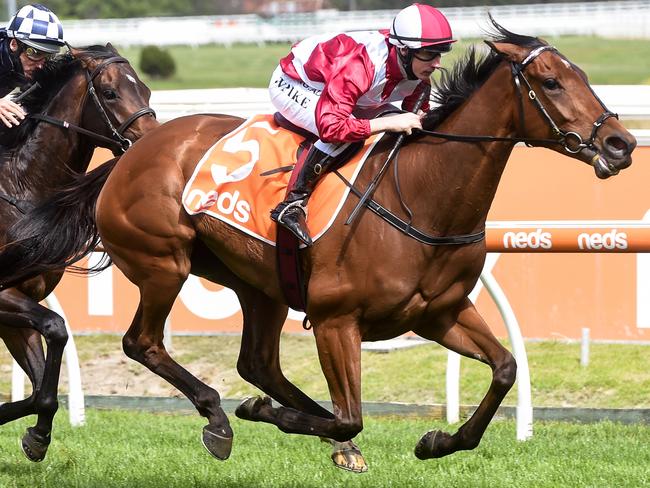 Arcadia Queen and Willie Pike upstage the well favoured Russian Camelot.