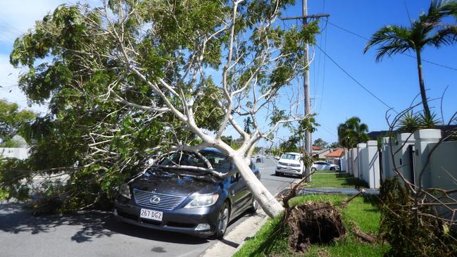 Fallen tree causes major traffic hazards across the road after smashing into a parked motor vehicle at Coomera on the Gold Coast after a massive storm. Picture: NCA NewsWire / Scott Powick