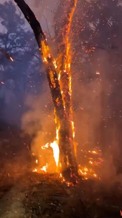 Catastrophic fire danger forecast for Boxing Day as bushfires rage on