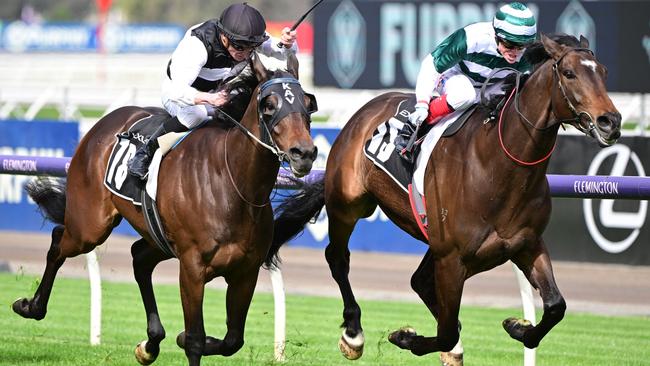 First Immortal (left) narrowly missed a Melbourne Cup start when a close second in the Group 3 Bart Cummings last October. Picture: Getty Images.