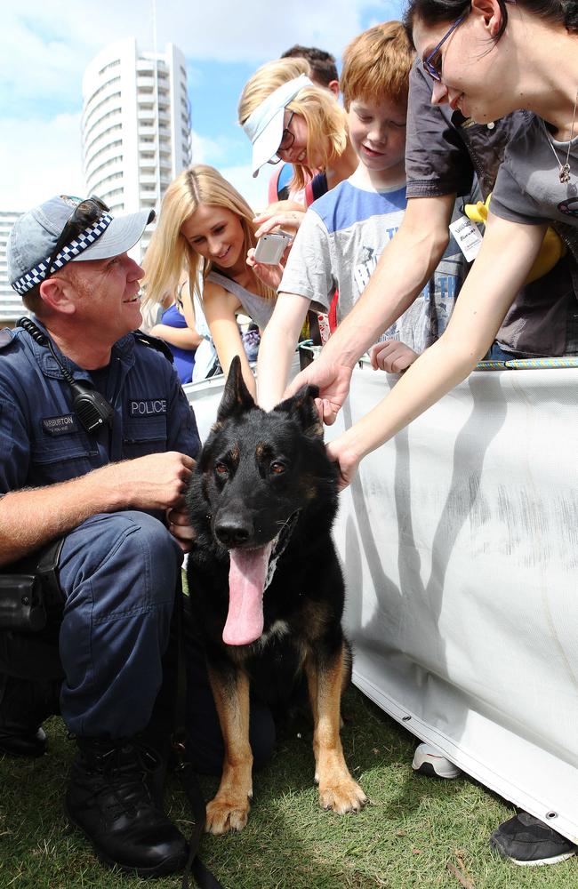 Luke Warburton and hero police dog Chuck meeting the public after a police dog display.